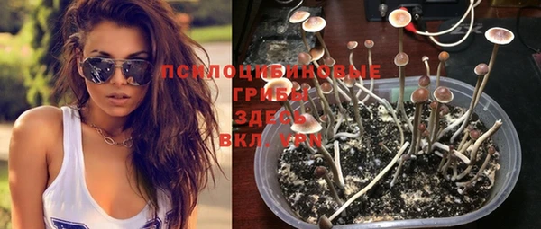 спиды Верхний Тагил