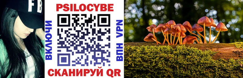 Псилоцибиновые грибы прущие грибы  где продают наркотики  KRAKEN ссылка  Орск 